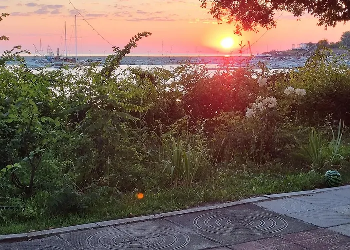 студия първа линия